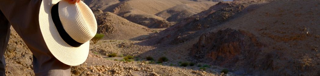 ¿Cuáles son las mejores fechas para hacer el Camino de Santiago?